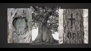 Pyhä. Paha. Metsä. / Helig. Ond. Skog. / Sacred. Scarred. Forest. With English subtitles.