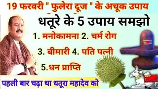 फुलेरा दूज का ये उपाय जरूर करना | धतूरे से करना उपाय सभी लोग | pradeep Mishra phulera dooj ke upay 