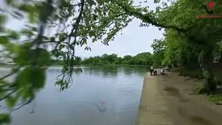Walking Tour of The National Mall: Discover Washington D.C.'s Historic Landmarks
