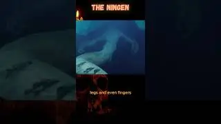 Ningen: The Creepy Humanoid Creature of  Antarctica! ❄️ #Cryptid