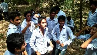 arkp video