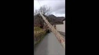 MONTI RIEGA E PROI DA BAVARI  27-1-26