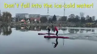 Water fun for people and animals on the Mur in Graz Liebenau (video for relaxing)
