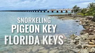 Pigeon Key FLORIDA KEYS Snorkeling [4K]