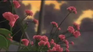 Chiello - Poi si romperanno [ 𝘴𝘭𝘰𝘸𝘦𝘥 + 𝘳𝘦𝘷𝘦𝘳𝘣 ]