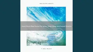 Sleep Sounds For Mega Relax, Master Sleep and Good Night