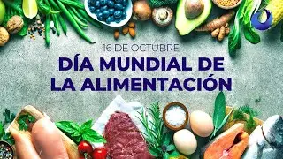 16 de octubre | D&iacute;a Mundial de la Alimentaci&oacute;n #AzulejoDigital