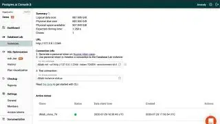 Database Lab / CI Observer - Postgres.ai | no sound | TURN CAPTIONS ON