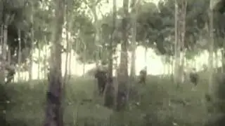 Pt 2 1942 The Taking of Malaya and Singapore Japanese Footage