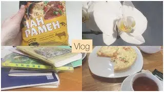 Daily life vlog | Повседневная жизнь влог