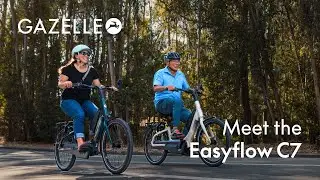 Gazelle Easyflow C7