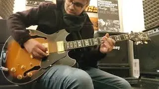 ibanez JSM10 Vys John Scofield
