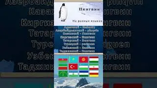 Penguin #история #адыги #кбр #черкесы #history  #кчр #тюрки #языки