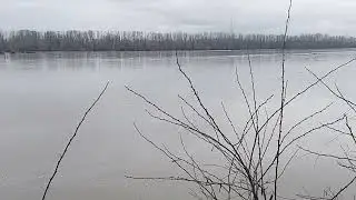 Il grande fiume in pessimo stato