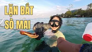 Lặn bắt sò mai tại bãi biển sau nhà. Khám phá cuộc sống trên đảo Phú Quốc