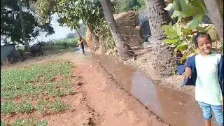 WhatsApp Video 2025 12 31 at 12 49 26 1