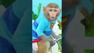 Monkey Baby Shark | Nursery Rhymes & Kids Songs |Bobby Kids Songs #monkey #monkeybaby #animalshome