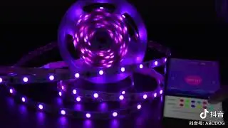 Sp110e smart led controller support ws2811 pixel 5050 rgb led strip Dc12V 20 pixels 60leds/m