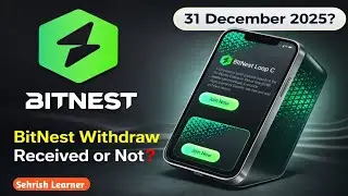 BitNest Withdraw Received on 31-12-2025 or Not? | BitNest Loop C Latest Update