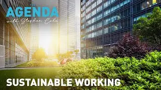 SUSTAINABLE WORKING - Why do we need Chief Sustainability Officer