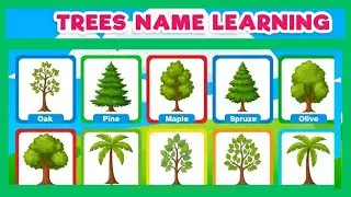 Meet the Trees! 🌳 | Tree Names for Kids | Let's Learn different Types of Tree & plant Name Together