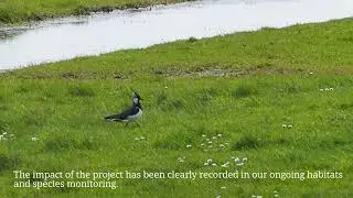 Essex Wildlife Trust: Transforming a South Essex Coastal Habitat