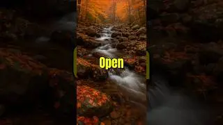 Affirm with Me - My Heart Is Open To Good Things - Daily Gratitude