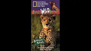 Really Wild Animals: Swinging Safari
