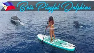 INCREDIBLE Dolphins Chasing 🐬💪TA&Ntilde;ON STRAIT | Bais, Negros Oriental |  Alegria, Cebu | ADVENTURESS