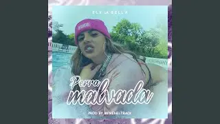 Perra Malvada