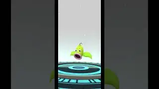 i evolved my shiny #Bellsprout to shiny #Victrebell😍| #pokemongo  #shorts  #pokemon