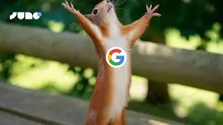 Add Google Sign-In to Your Juno App