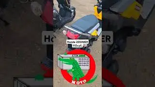 Honda zoomer 110--стокмото