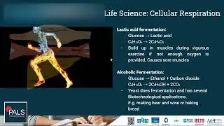 Pass GED Science | Cellular Respiration