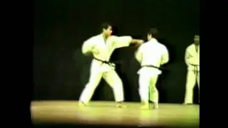 Matsubayashi Karate (Kama, Kusanku, Nunchaku)