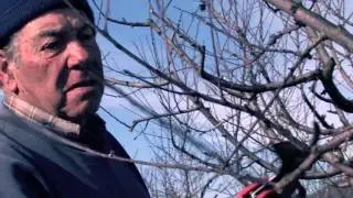 D' esquenes al Llobregat - Documental ecologista