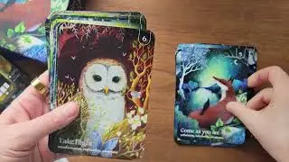 Enchanted Earth Oracle Flip Through