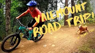Valemount Road Trip | August 2020 | It's A Dogs Life |