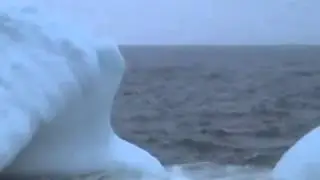 RMF: Iceberg Quest Boat Tour