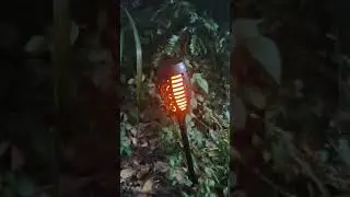 Solar Torch Light With Flickering Flame