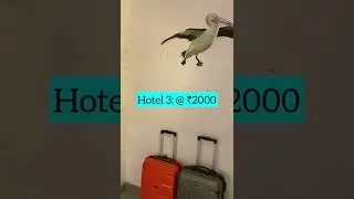3 best hotels of Udaipur for all kind of travelers 😱💖 #shortsindia  #udaipur #hotels
