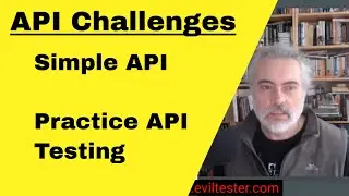 Simple API for Practicing API Testing - Overview