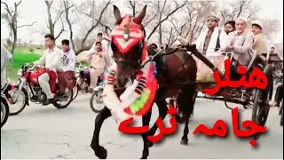 Hitler Ghorra Jumma Shughal Try 26.02.202 Ghourghusti Horse Race Hitler Try Video 2021 Peshawar