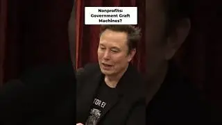 Nonprofits: Are They Really 'Good' Organizations? #elonmusk #elon #tesla