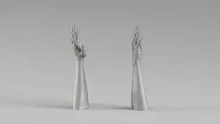001711 Realistic Human Hands and Forearms Raised Pose 3D Scan