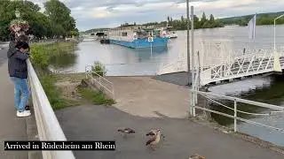 2025 Cruise and Zurich Part 2