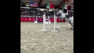 EHS France 🇫🇷 at the P&ocirc;le Hippique Saint-L&ocirc; France 🇫🇷 #horse #flyinghorses #ehs #europe #france