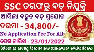 SSC Big Vacancy 2021 || SSC CGL Recruitment 2021 || Apply Online || Odisha Govt Job Updates