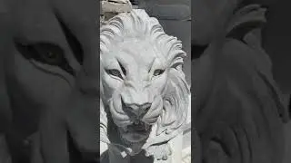 Marble carved lion sculpture fountain
