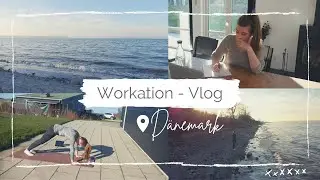 WORKATION-VLOG: Arbeiten & leben in Dänemark 🇩🇰 | Sport | Routinen | Selbstständigkeit | Strand